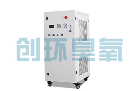 宿州石斑鱼养殖水质调控完整指南:臭氧发生器配置与操作步骤