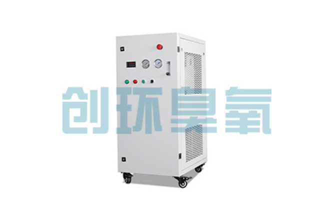 宿州比传统换水更高效?臭氧发生器在石斑鱼养殖中的水质净化原理解析